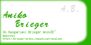 aniko brieger business card